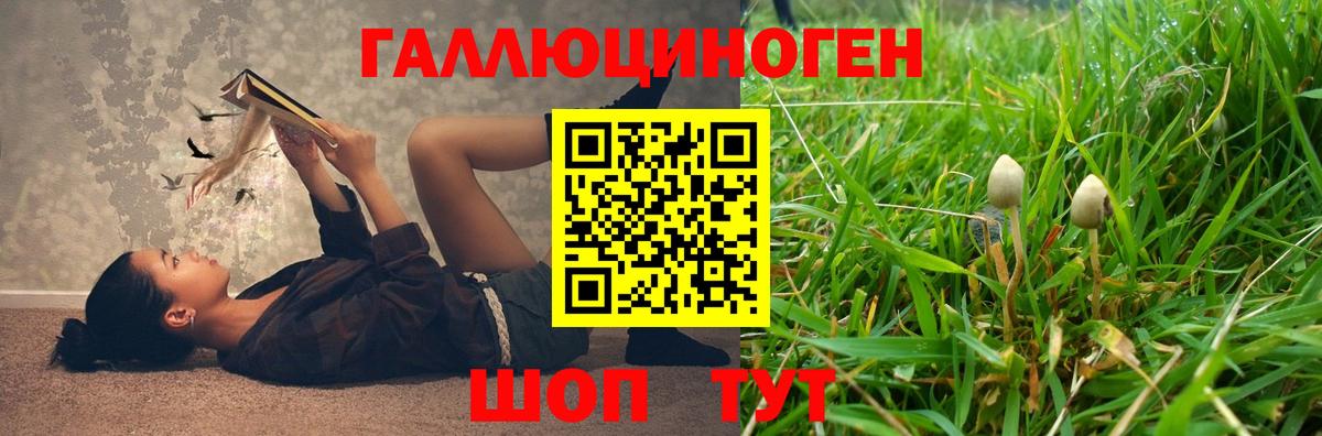 Курчалой  Галлюциногенные грибы мухоморы  Вход с VPN  Галлюциногенные грибы Psilocybine cubensis 